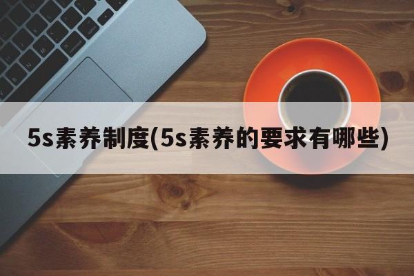 5s素养制度(5s素养的要求有哪些)